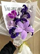 dream-flowers-mor