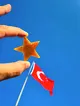 yildiz-karnelyan-akik-dogal-tas