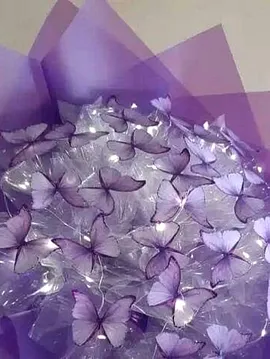 Işıklı Kelebek Buketi  Lila