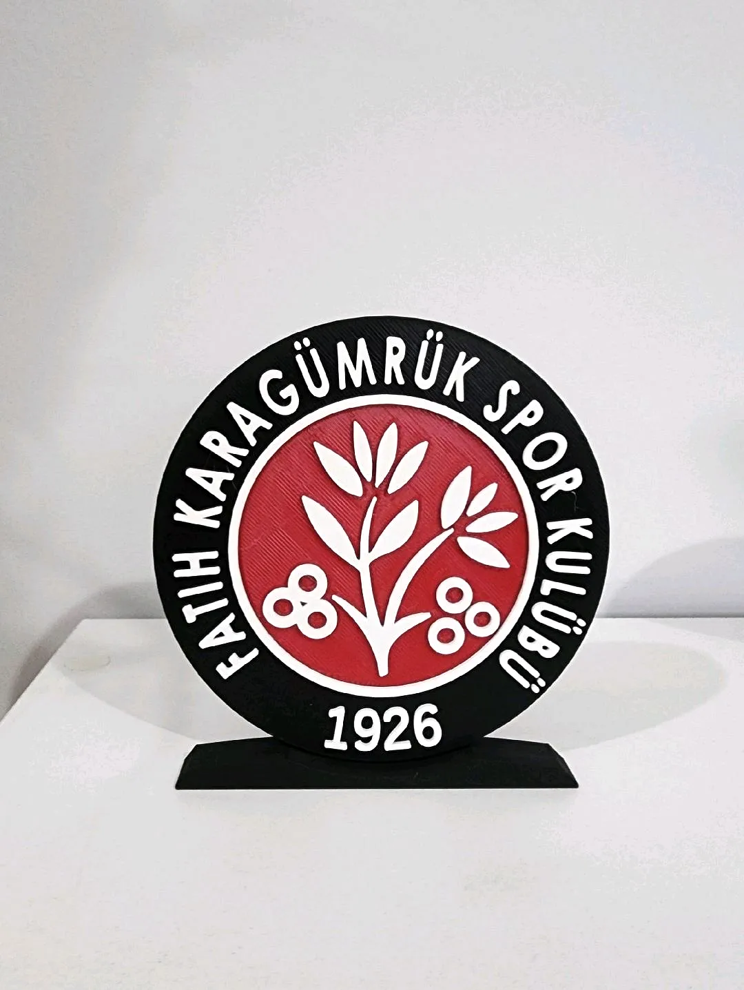 fatih-karagumruk-buyuk-tip-logo-cok-renkli
