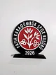 fatih-karagumruk-buyuk-tip-logo-cok-renkli