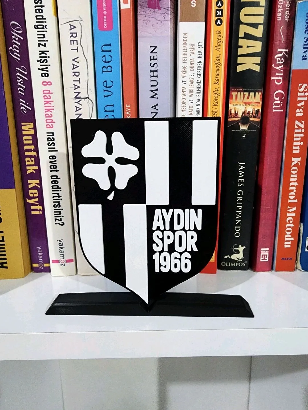 aydinspor-logo-cok-renkli