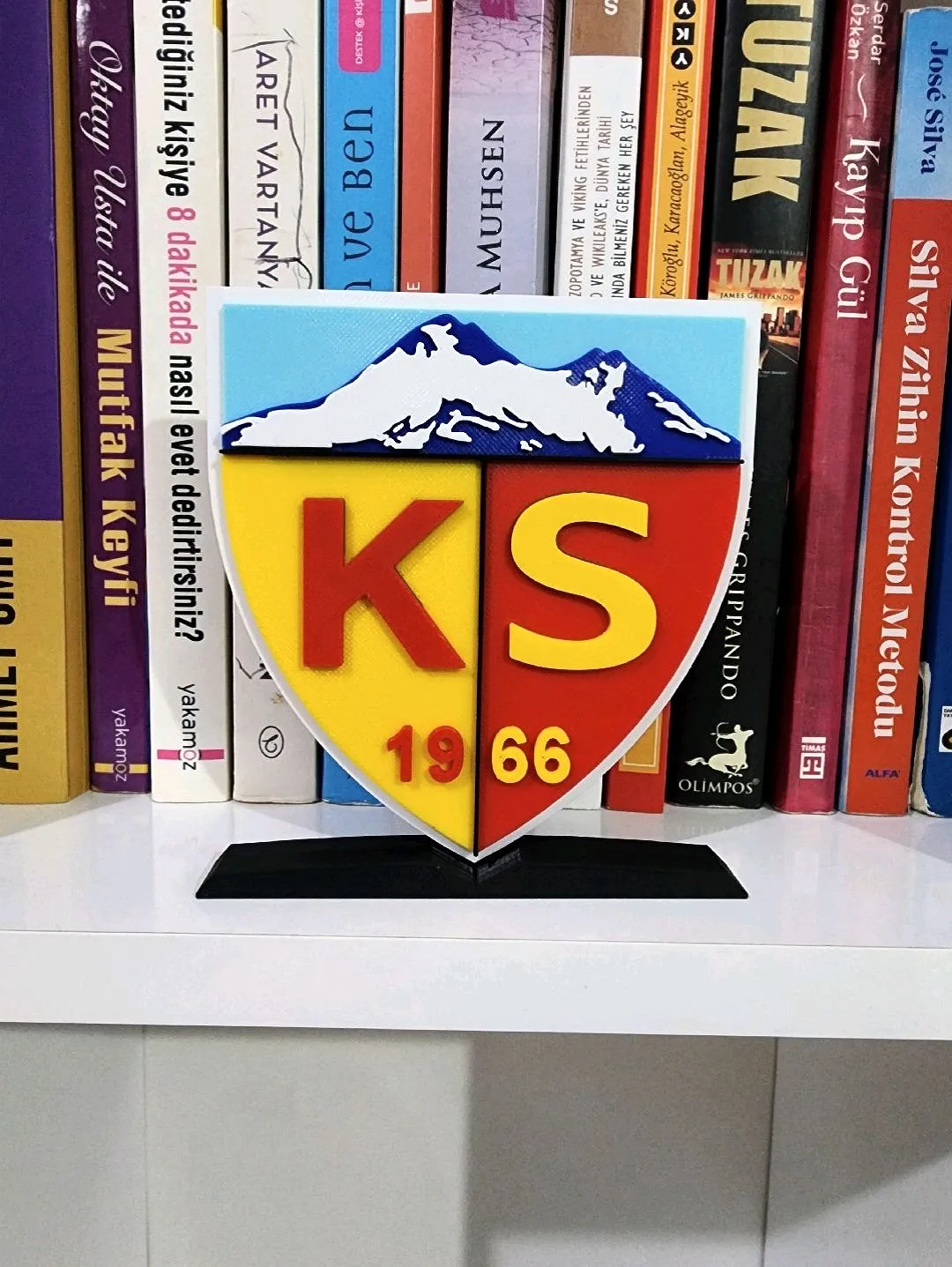 kayserispor-logo-cok-renkli