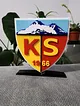 kayserispor-logo-cok-renkli