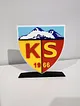 kayserispor-logo-cok-renkli