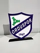orduspor-buyuk-tip-logo-cok-renkli
