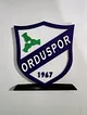 orduspor-buyuk-tip-logo-cok-renkli