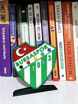 Bursaspor Logo Çok Renkli