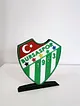 bursaspor-logo-cok-renkli
