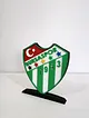 bursaspor-logo-cok-renkli