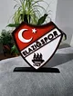 elazigspor-buyuk-tip-logo-cok-renkli