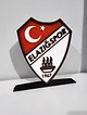 elazigspor-buyuk-tip-logo-cok-renkli