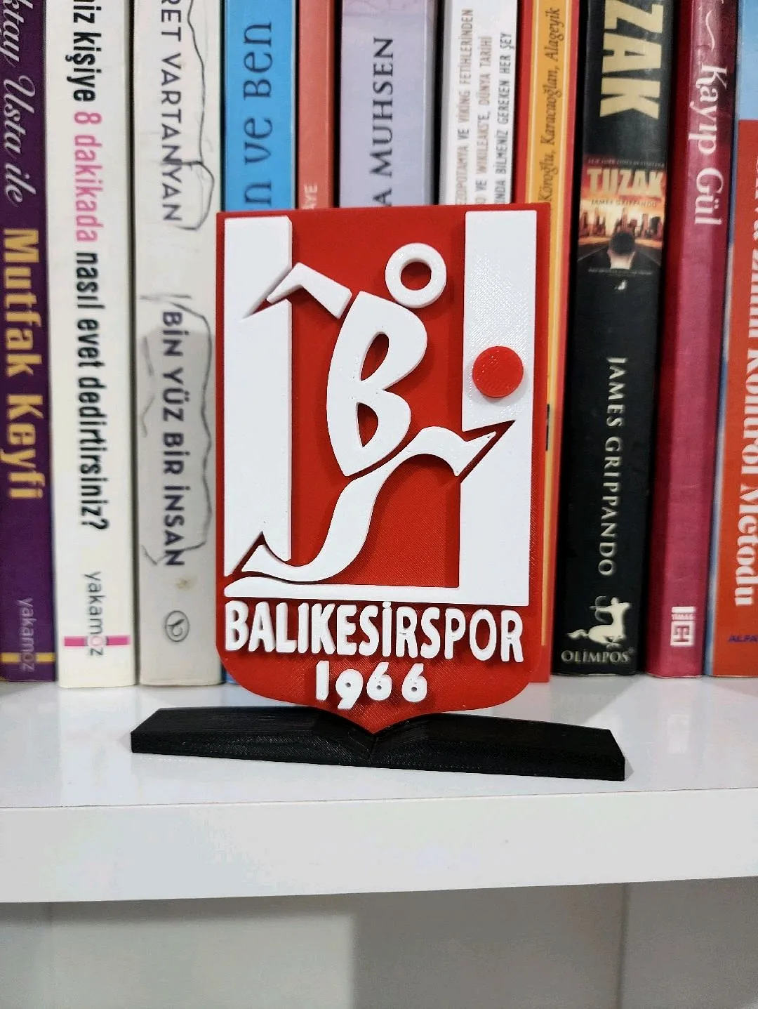 balikesirspor-buyuk-tip-logo-cok-renkli