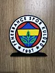 fenerbahce-buyuk-tip-logo-cok-renkli
