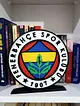 fenerbahce-buyuk-tip-logo-cok-renkli