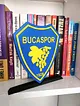 bucaspor-buyuk-tip-logo-cok-renkli