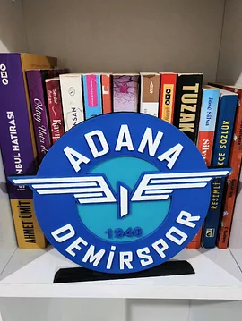 Adanademirspor Büyük Tip Logo Çok Renkli
