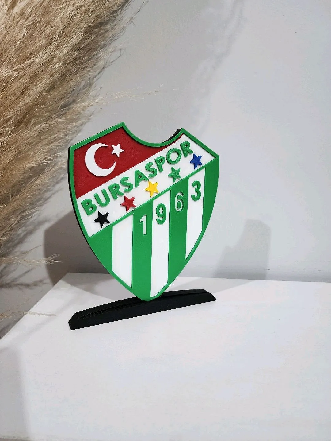 bursaspor-buyuk-tip-logo-cok-renkli