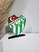 bursaspor-buyuk-tip-logo-cok-renkli