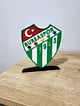 bursaspor-buyuk-tip-logo-cok-renkli