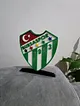 bursaspor-buyuk-tip-logo-cok-renkli