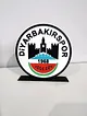 diyarbakirspor-logo-cok-renkli