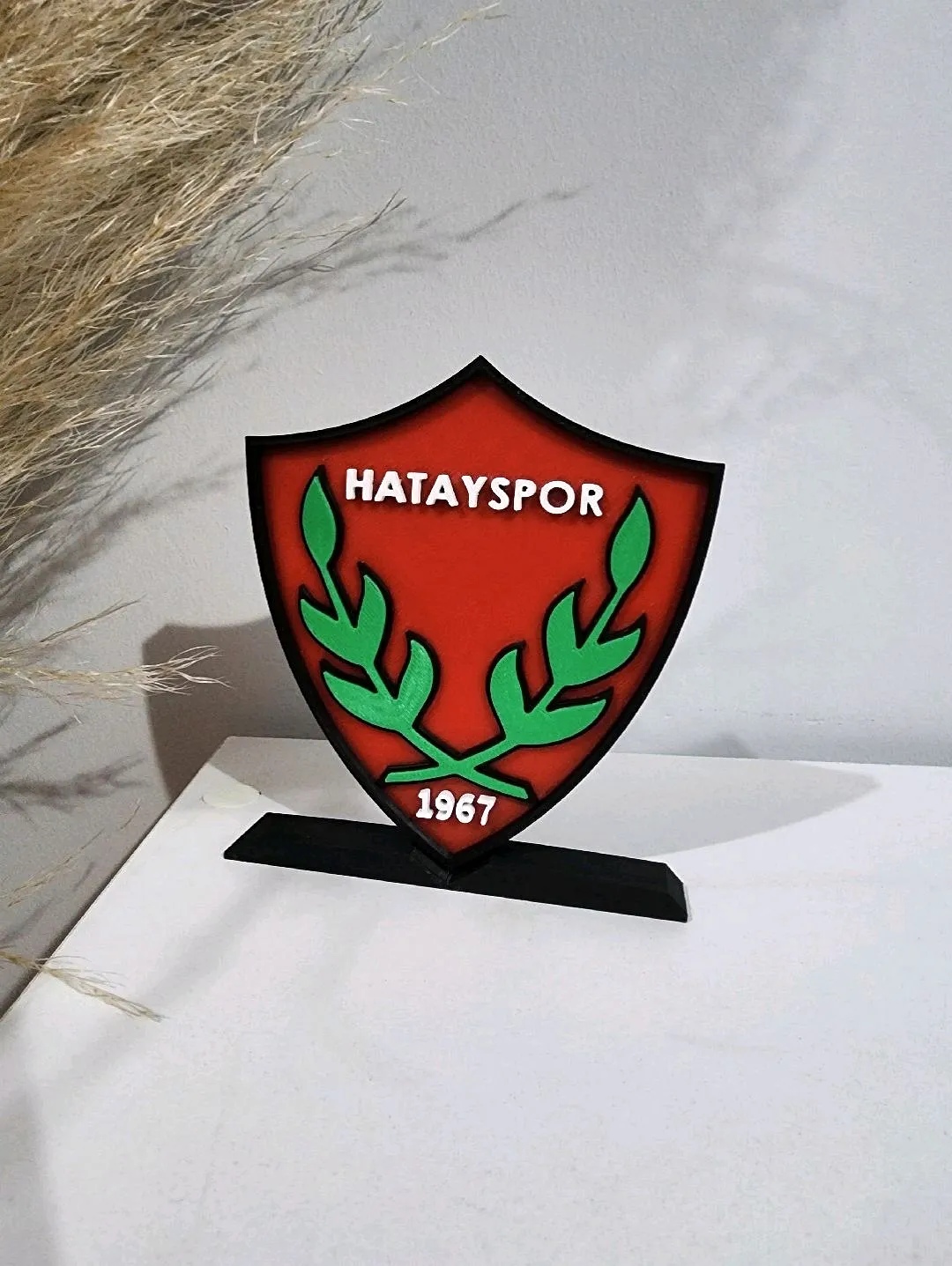 hatayspor-buyuk-tip-logo-cok-renkli