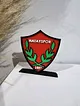 hatayspor-buyuk-tip-logo-cok-renkli