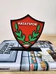 hatayspor-buyuk-tip-logo-cok-renkli