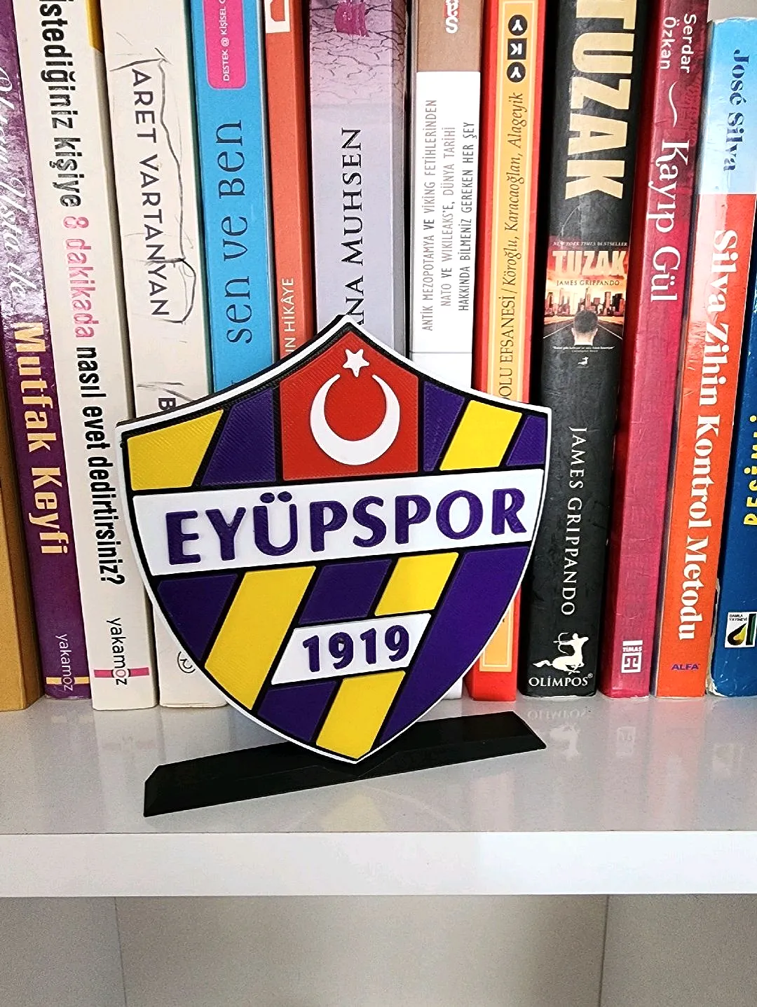 eyupspor-logo-cok-renkli