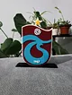 trabzonspor-logo-cok-renkli