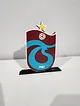 trabzonspor-logo-cok-renkli