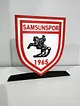 samsunspor-buyuk-tip-logo-cok-renkli