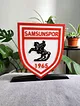 samsunspor-buyuk-tip-logo-cok-renkli