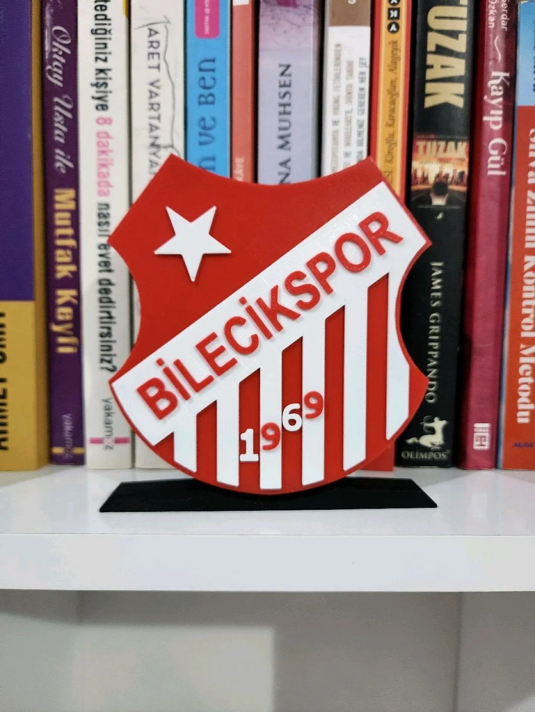 bilecikspor-logo-cok-renkli