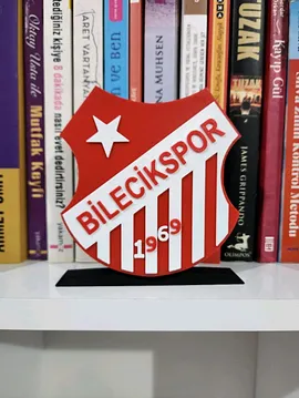 Bilecikspor Logo Çok Renkli