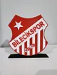 bilecikspor-logo-cok-renkli