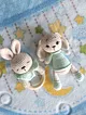 amigurumi-sevimli-tavsan-set-turkuaz