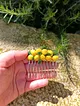 limon-toka-sari