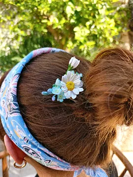 Papatya Toka Mavi