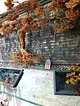 bonsai-duvar-pano-35-cok-renkli