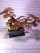 bonsai-fistik-yesili