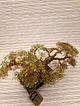 bonsai-fistik-yesili