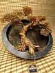 sari-beyaz-bonsai-beyaz