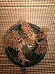 sari-beyaz-bonsai-beyaz