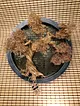 sari-beyaz-bonsai-beyaz