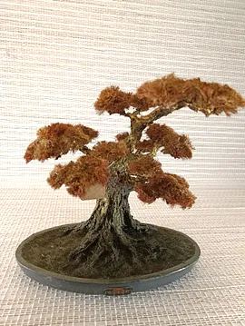 Bonsai Altın Rengi