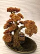 bonsai-altin-rengi