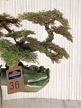 El Saksılı Bonsai Yeşil Yeşil