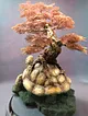 kaplumbaga-bonsai-bakir-rengi